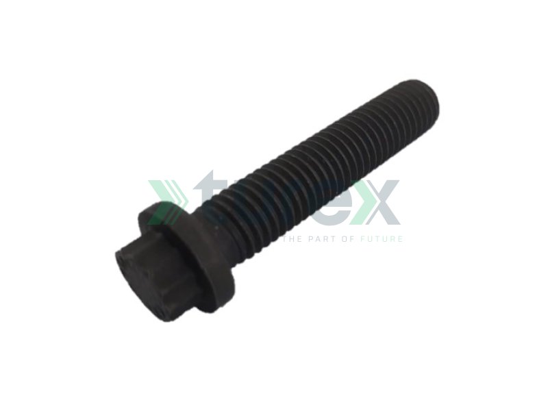 Injector Pump Bolt (M10 x 50 mm) Mercedes 457, Actros
