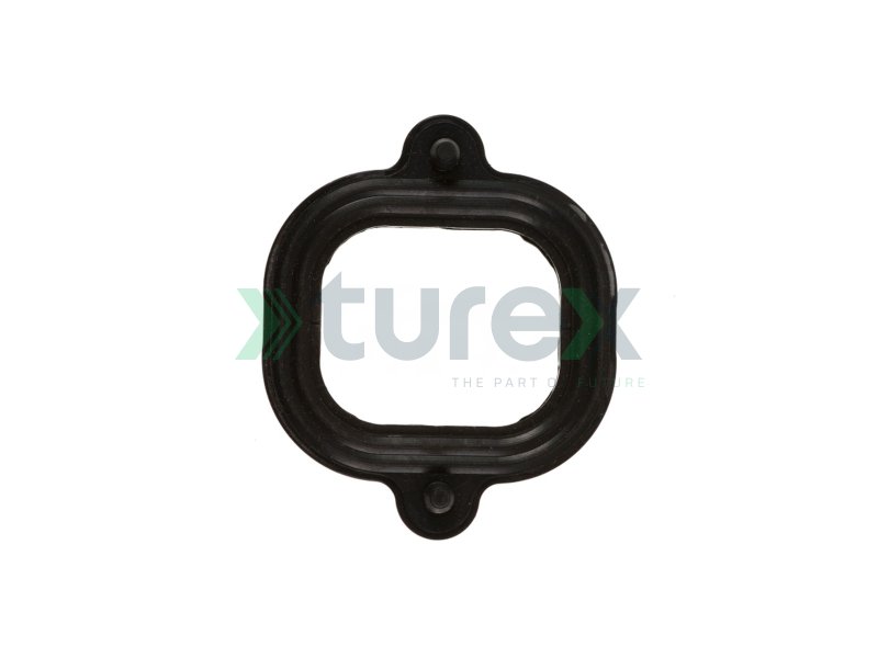 Intake Manifold Gasket Actros