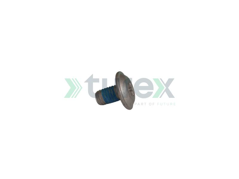 M6x10 Tx Special Flange Screw