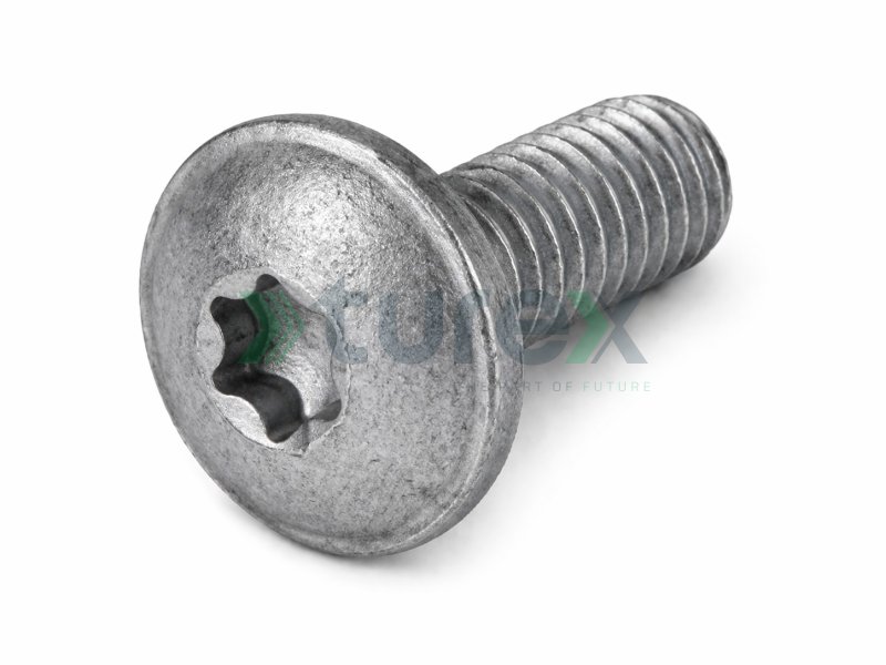 Step Plate Screw (Pack of 25)