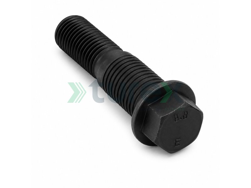 Screw / Bolt