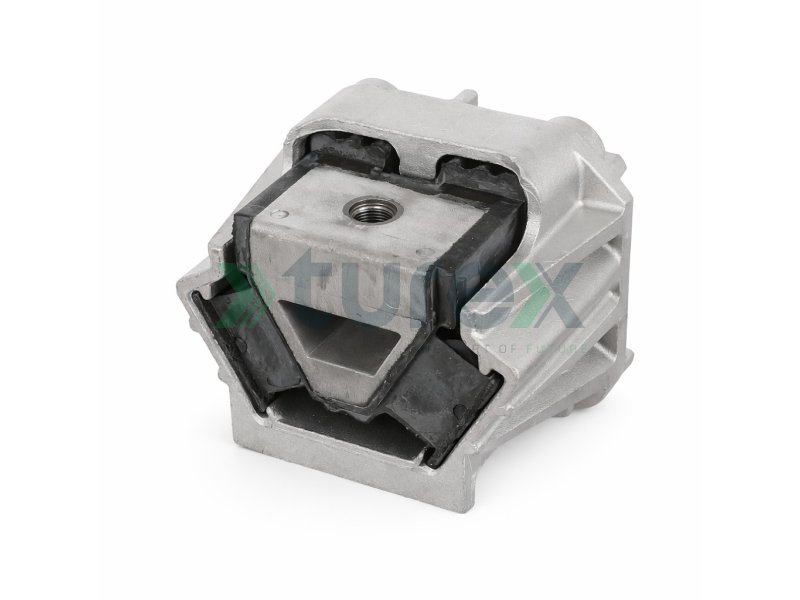 Engine Mounting Rear