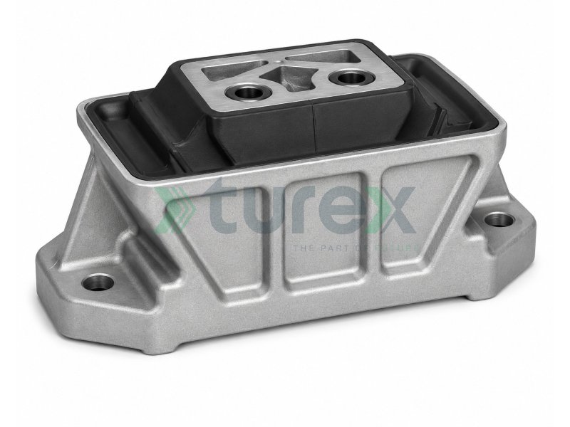 Engine Mounting Rear