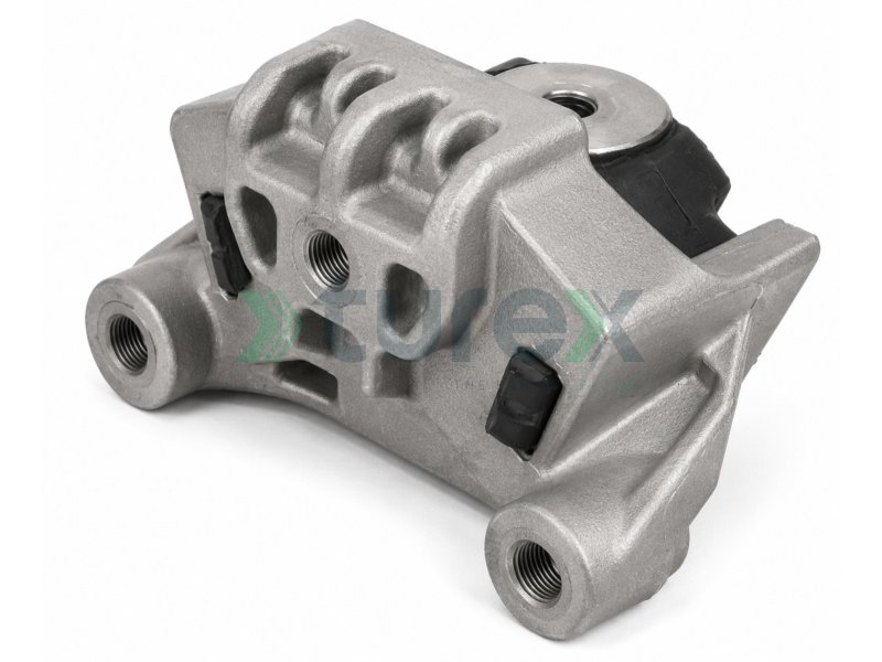 Engine Mounting Rear