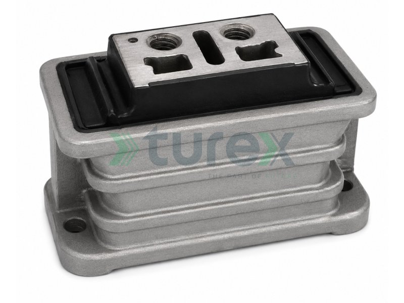 Engine Mounting Rear