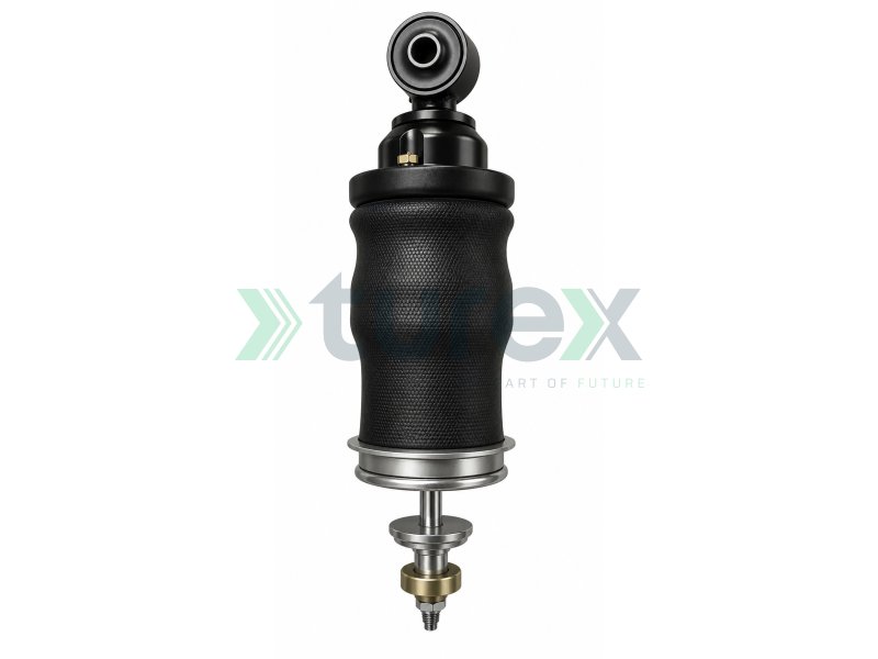 Cab Air Spring - With Shock Absorber, With Valve, Rear Left For Mercedes Arocs Actros