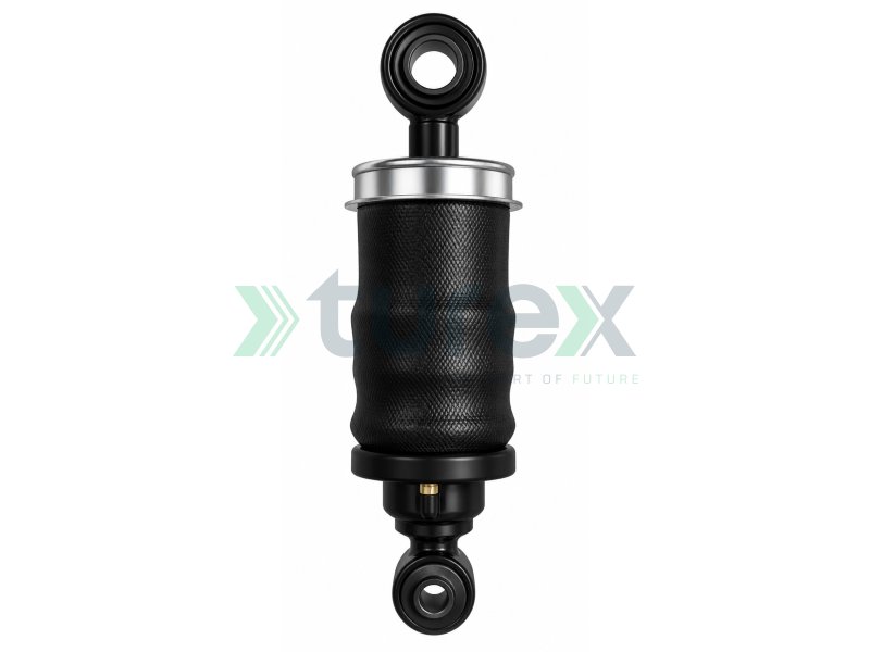 Cab Air Spring - With Shock Absorber, With Valve, Front For Mercedes Actros