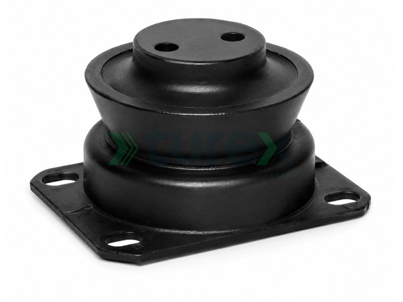 Engine Mounting Rear