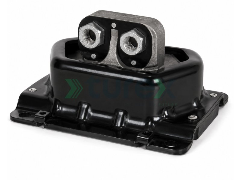 Engine Mounting Rear