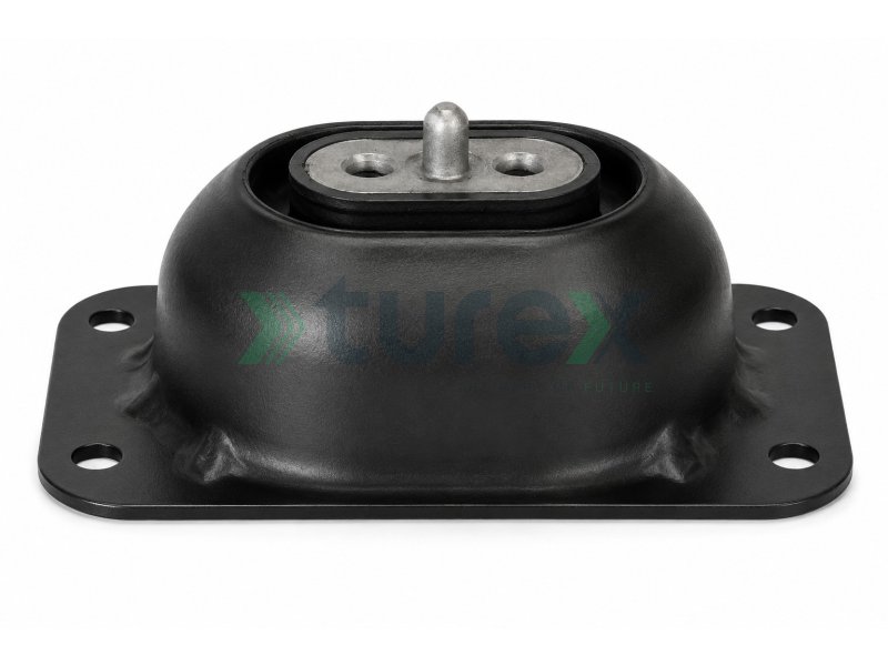 Engine Mounting