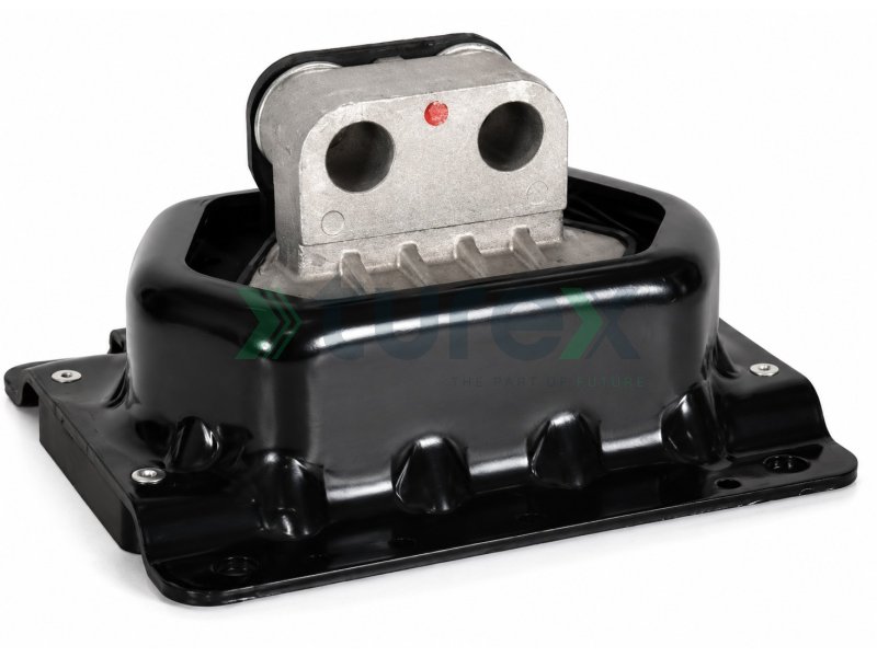 Engine Mounting Rear