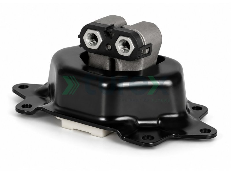 Engine Mounting Rear