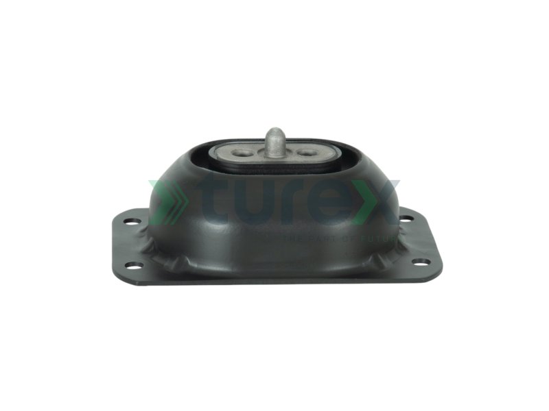 Engine Mounting
