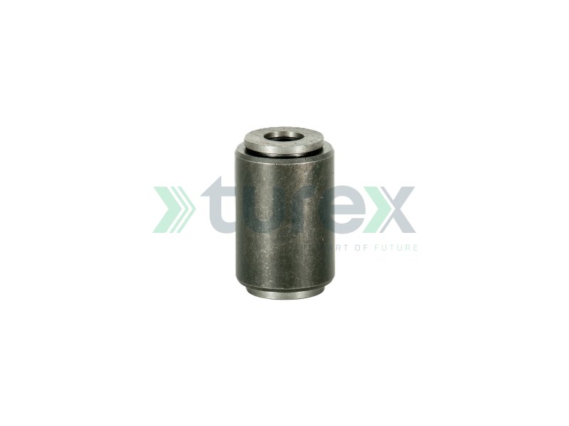 Spring Bushing (Front)