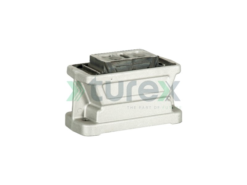 Engine Mounting Rear