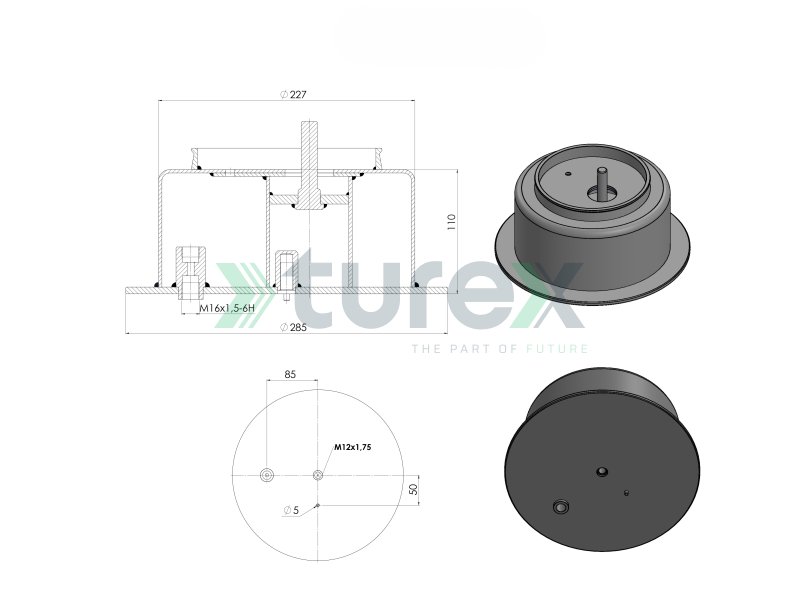 Air Spring Piston