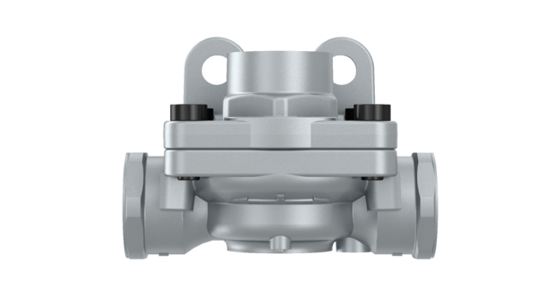 Quick Drain Valve